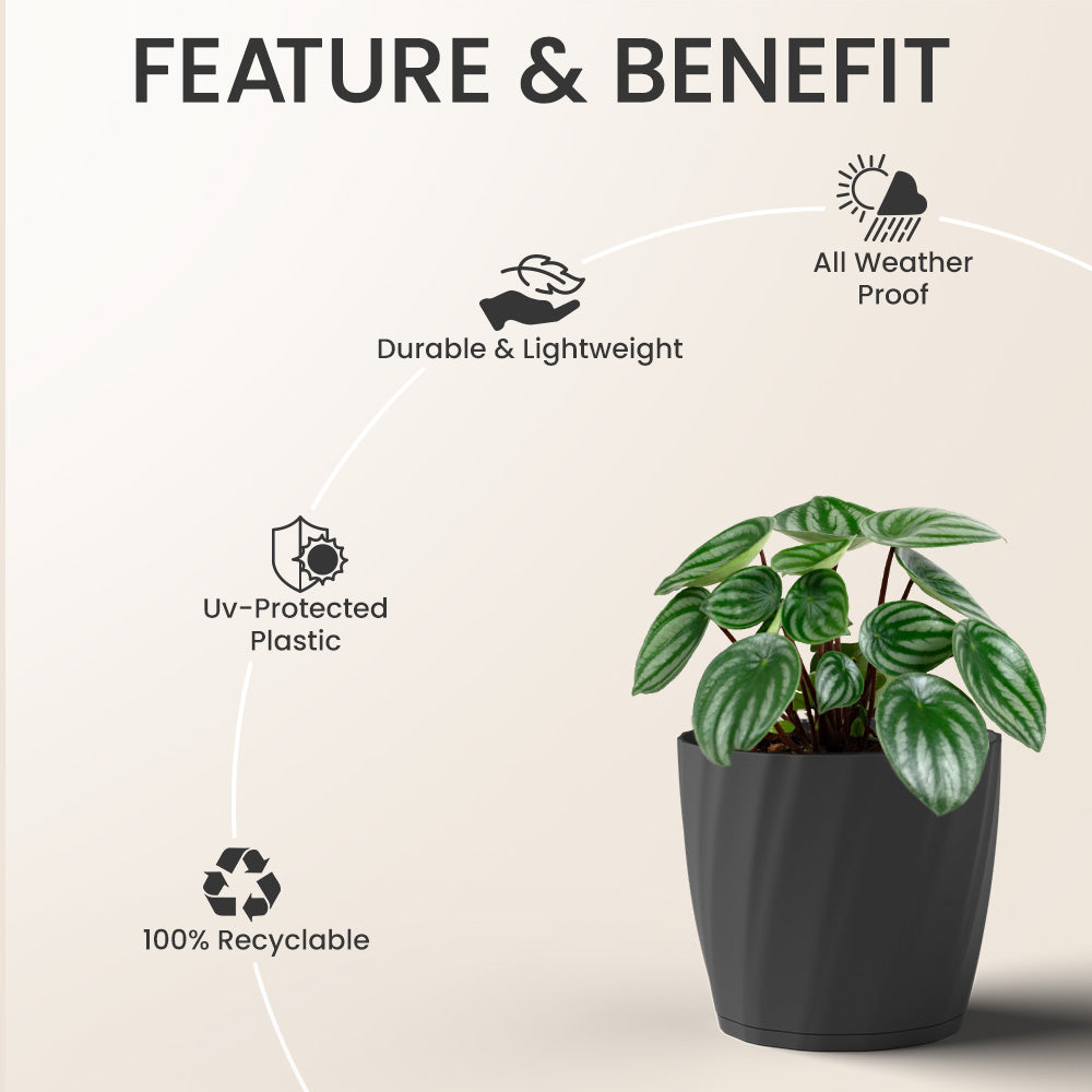 SHERA | ZINNIA PLANTER