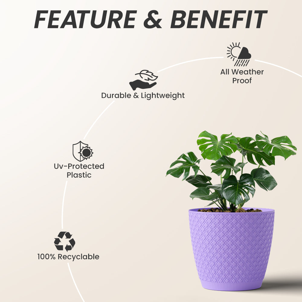 SHERA | CRUZ PLANTER