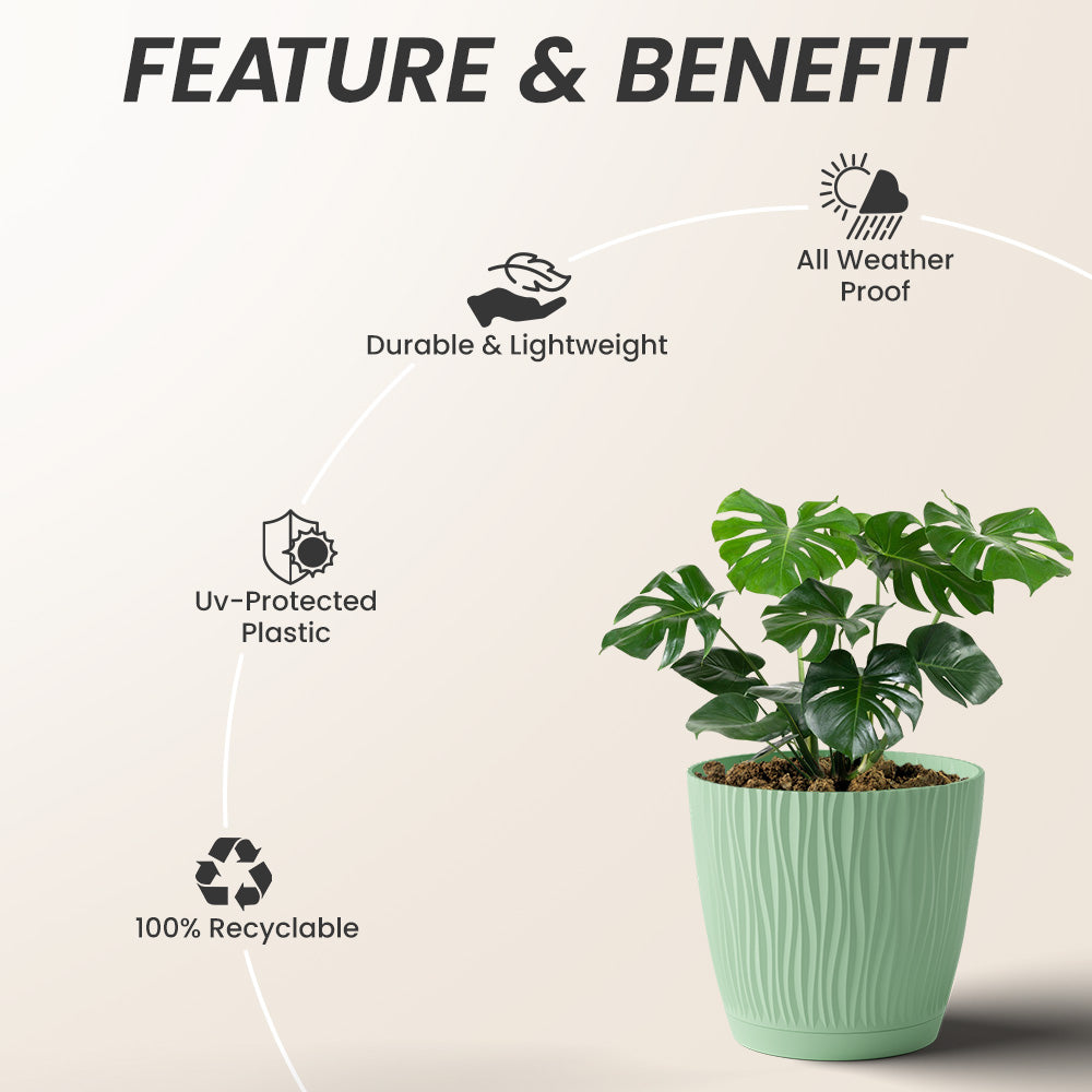 SHERA | EVA PLANTER