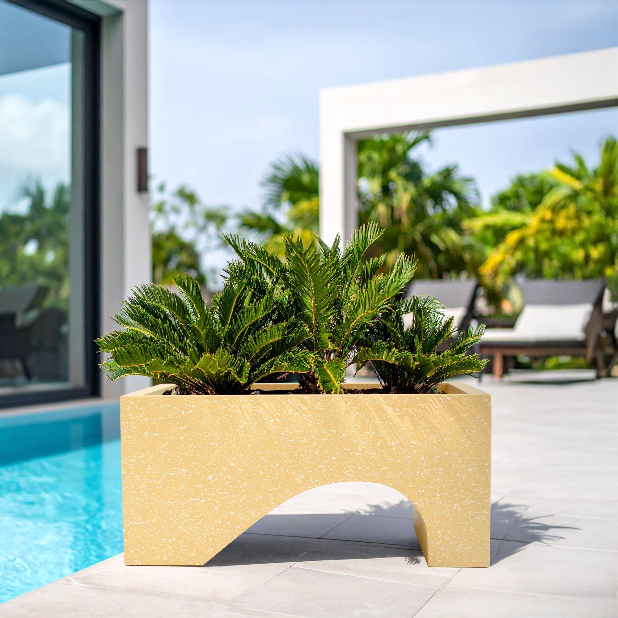 FOX B | UCTR PLANTER