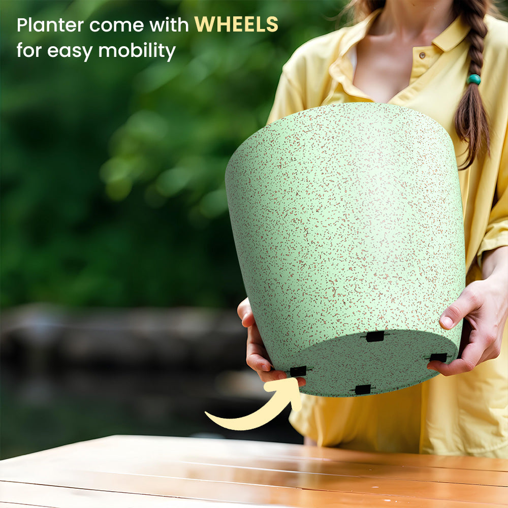 SHERA | STELLA BIO PLANTER