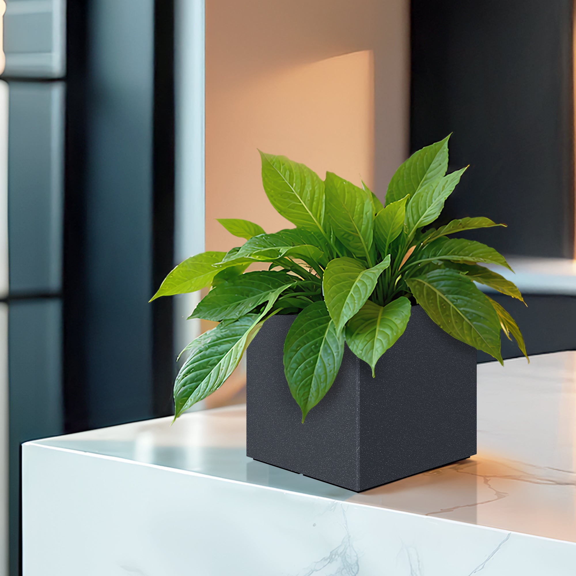 FOX B | CUBO PLANTER