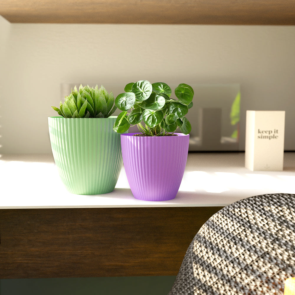 SHERA | LOTUS PLANTER