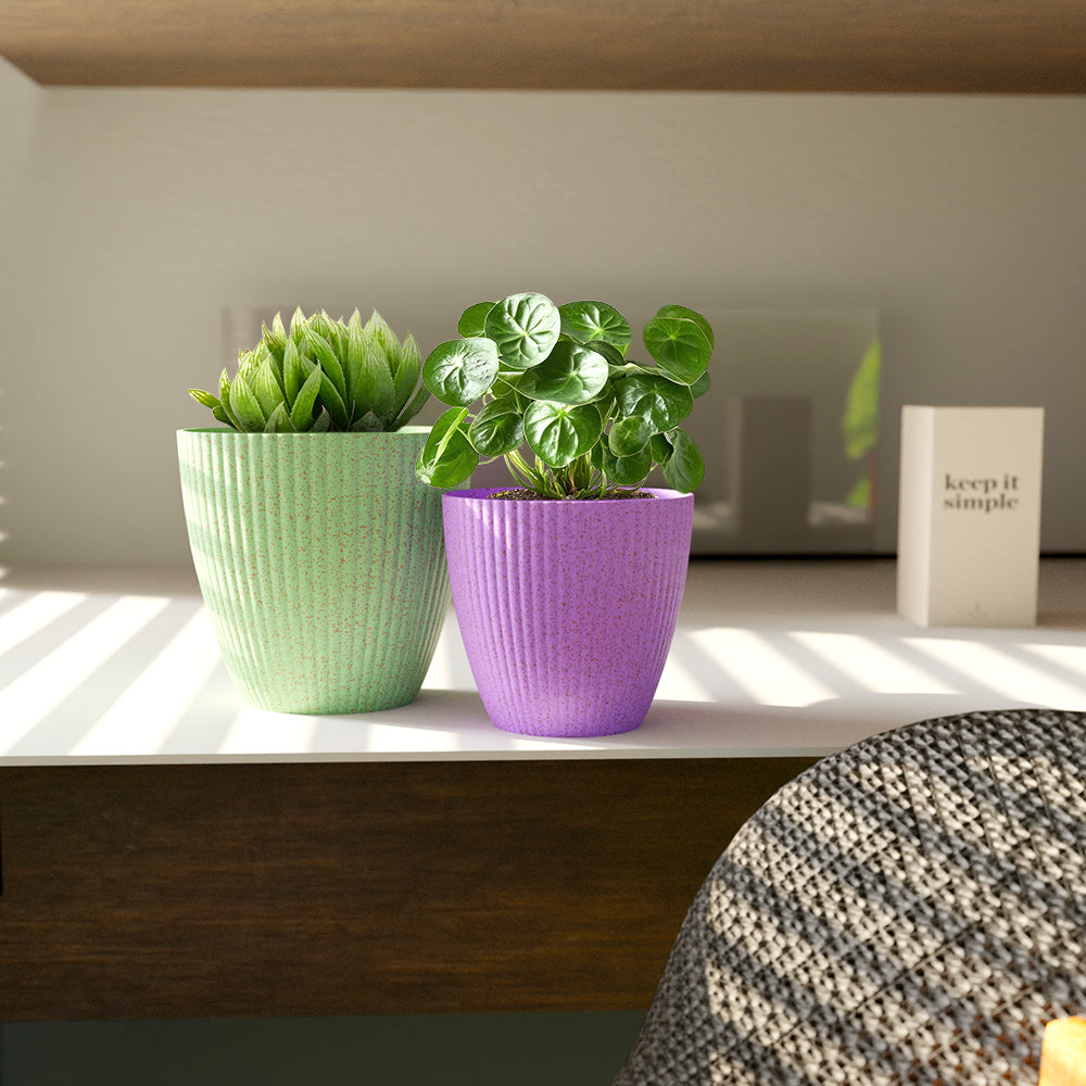 SHERA | LOTUS BIO PLANTER