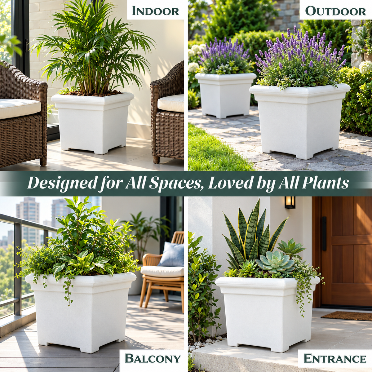 FOX B | BS PLANTER