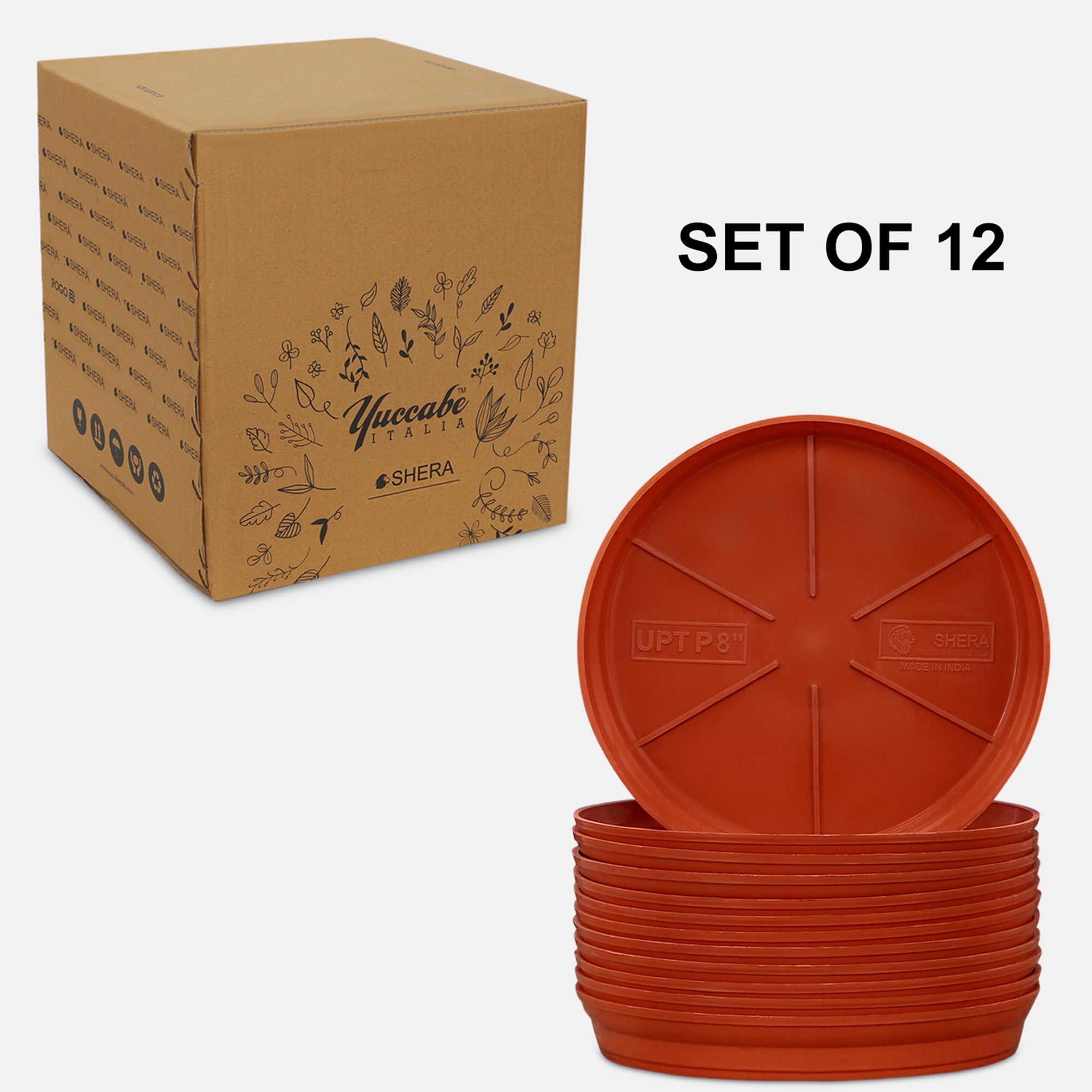 Terracotta / 12 / 12