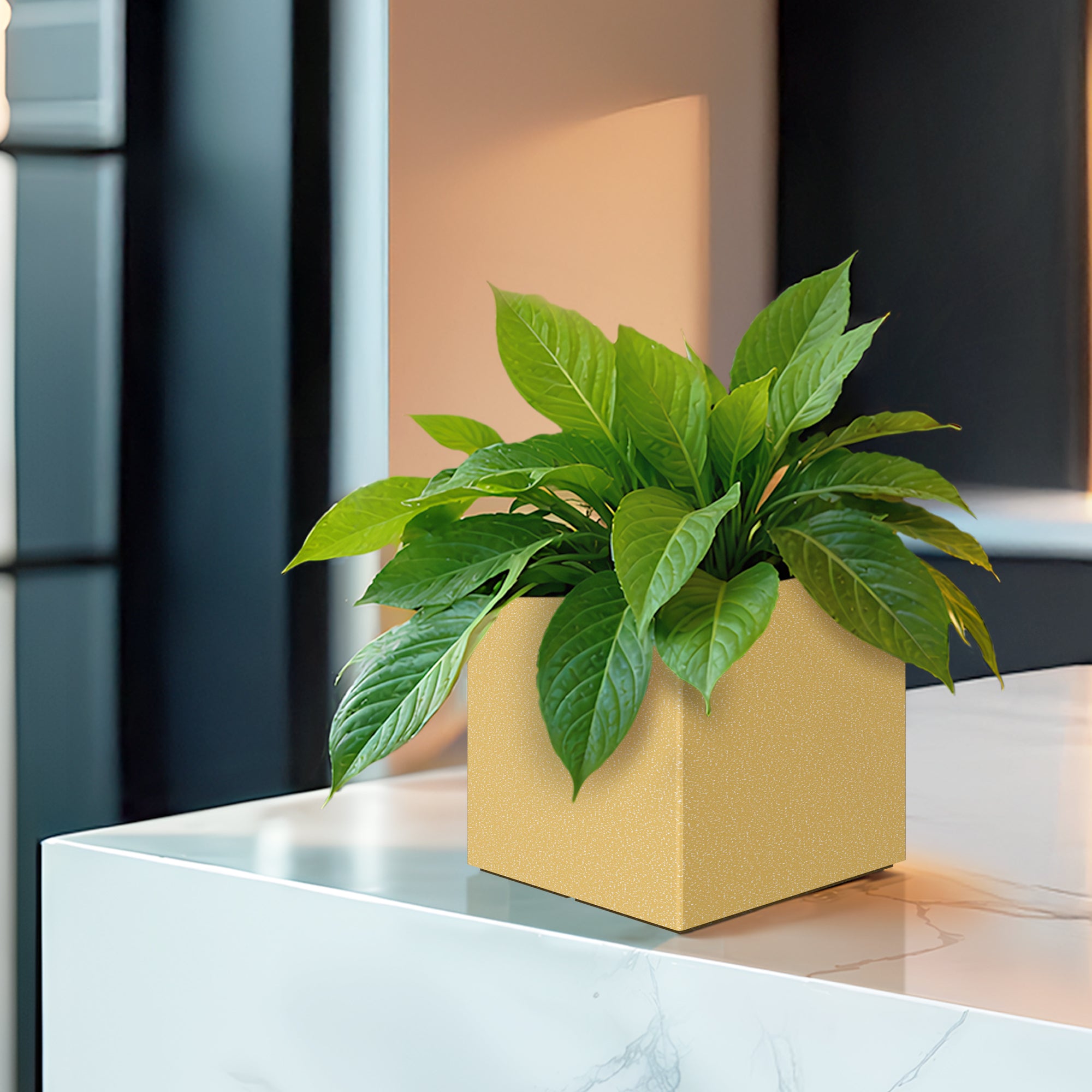 FOX B | CUBO PLANTER