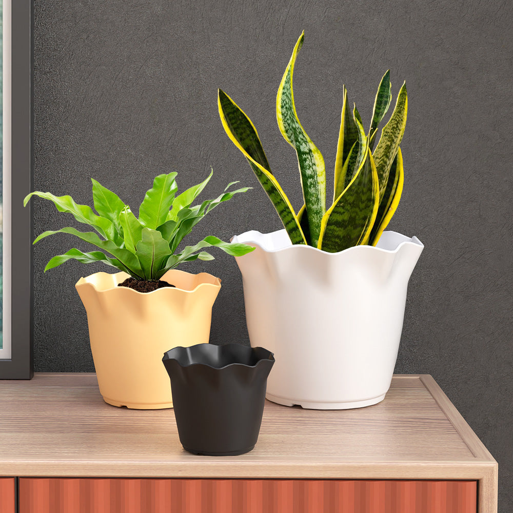 SHERA | FLOWER PLANTER