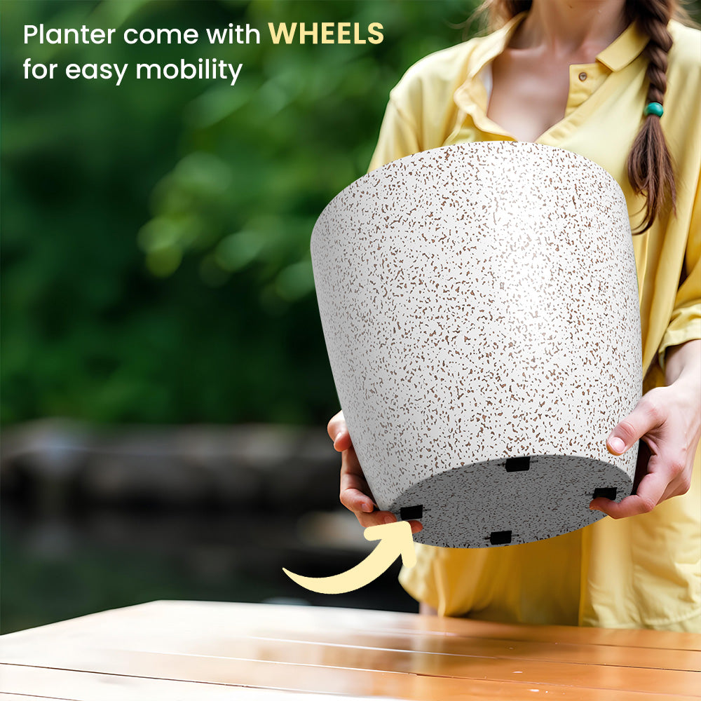 SHERA | STELLA BIO PLANTER