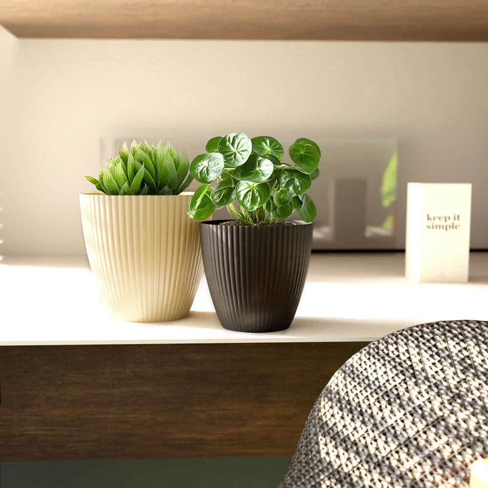 SHERA | LOTUS PLANTER