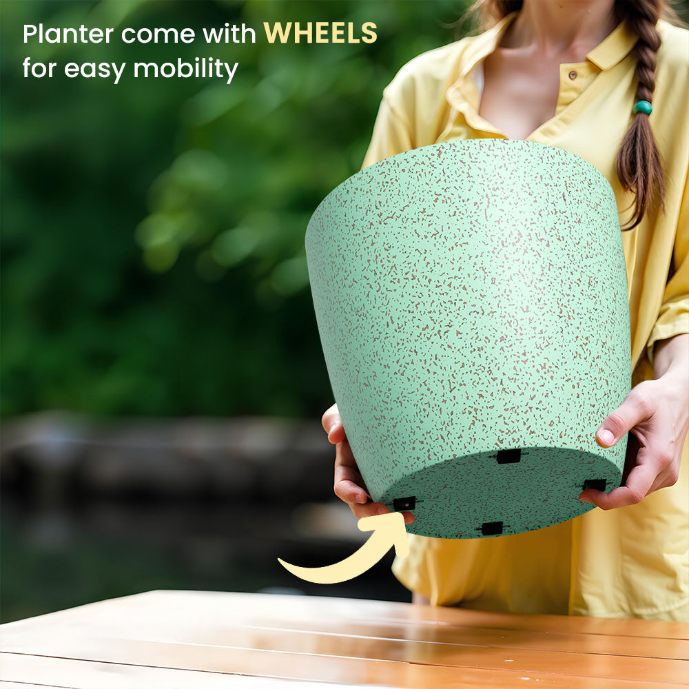 SHERA | STELLA BIO PLANTER