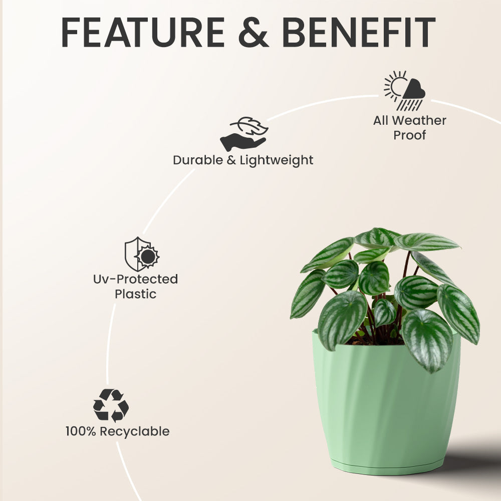 SHERA | ZINNIA PLANTER