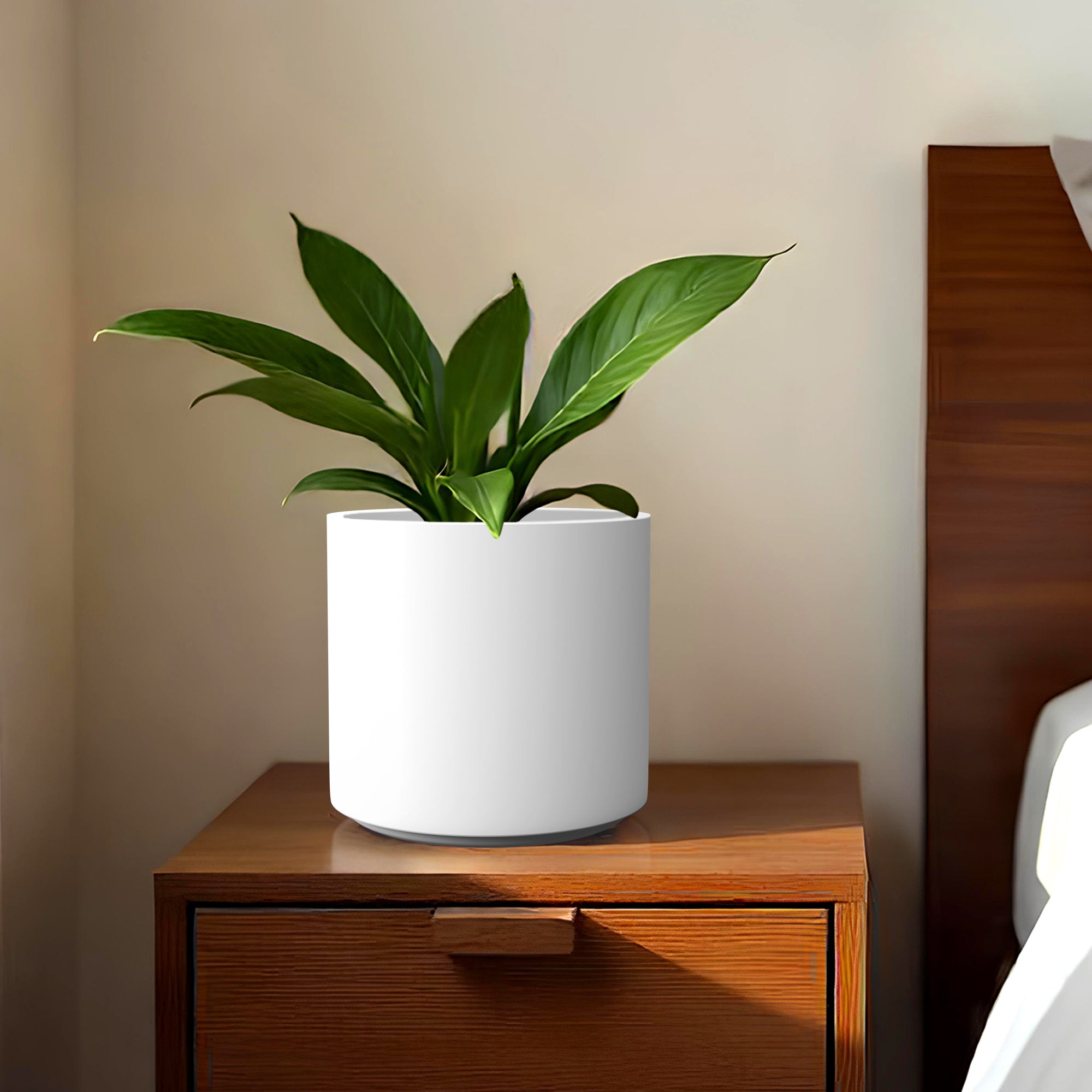 FOX B | CILIN PLANTER