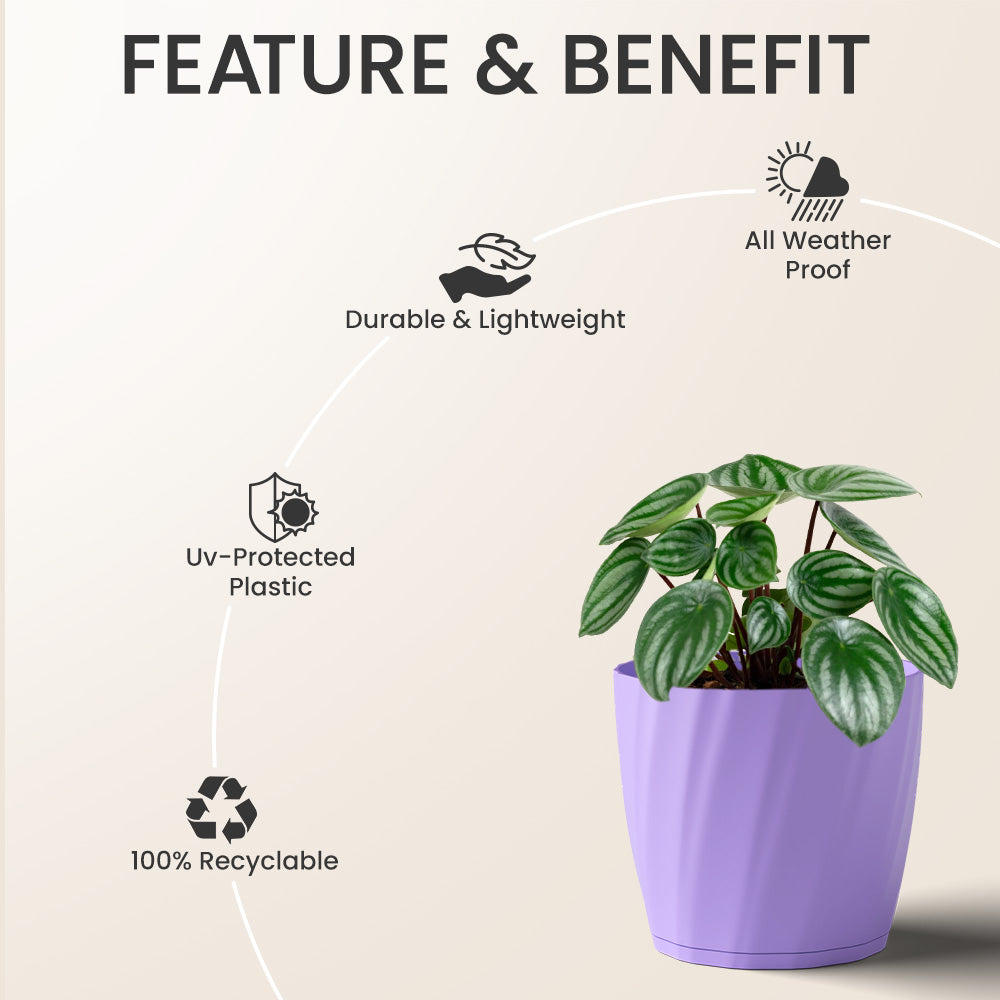 SHERA | ZINNIA PLANTER