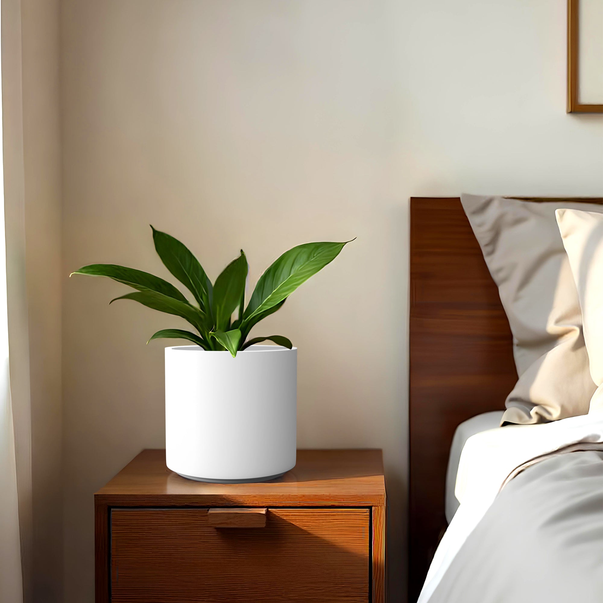 FOX B | CILIN PLANTER