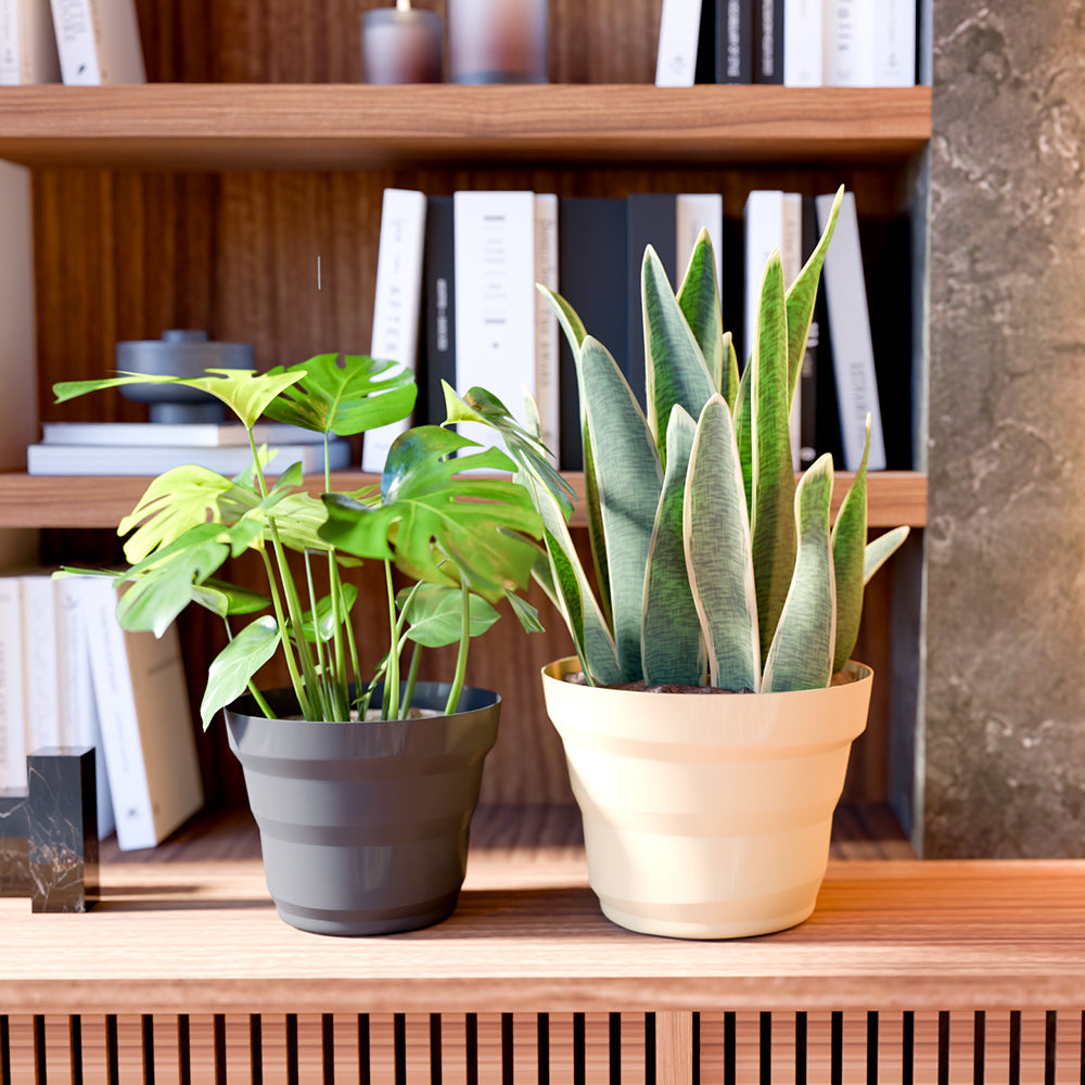 SHERA | RING PLANTER