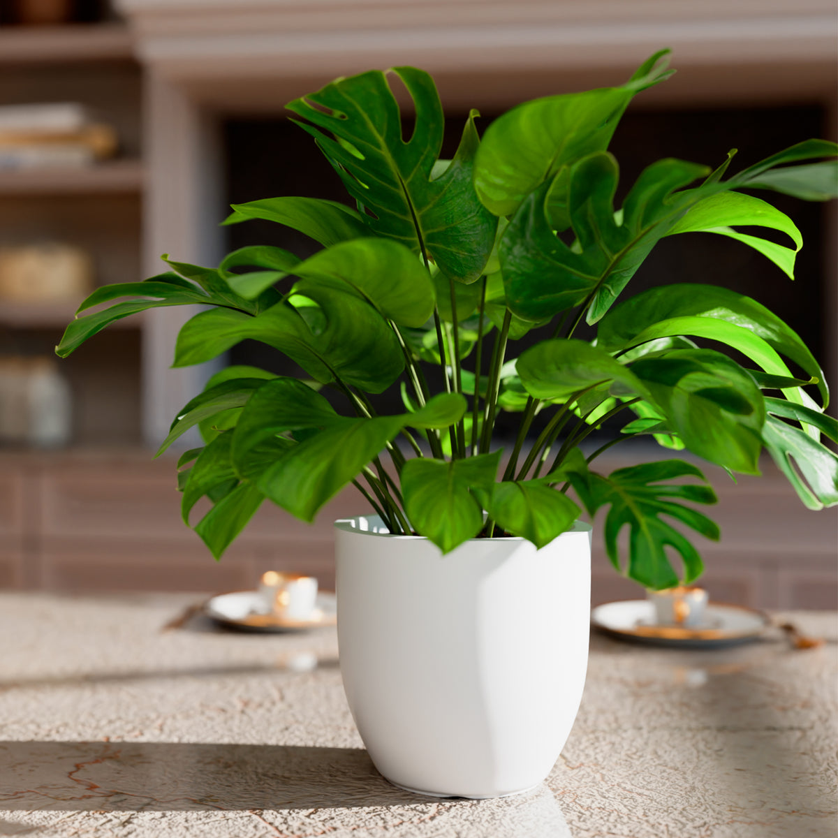 FOX B | P CUP PLANTER 6 INCH TO 15 INCH