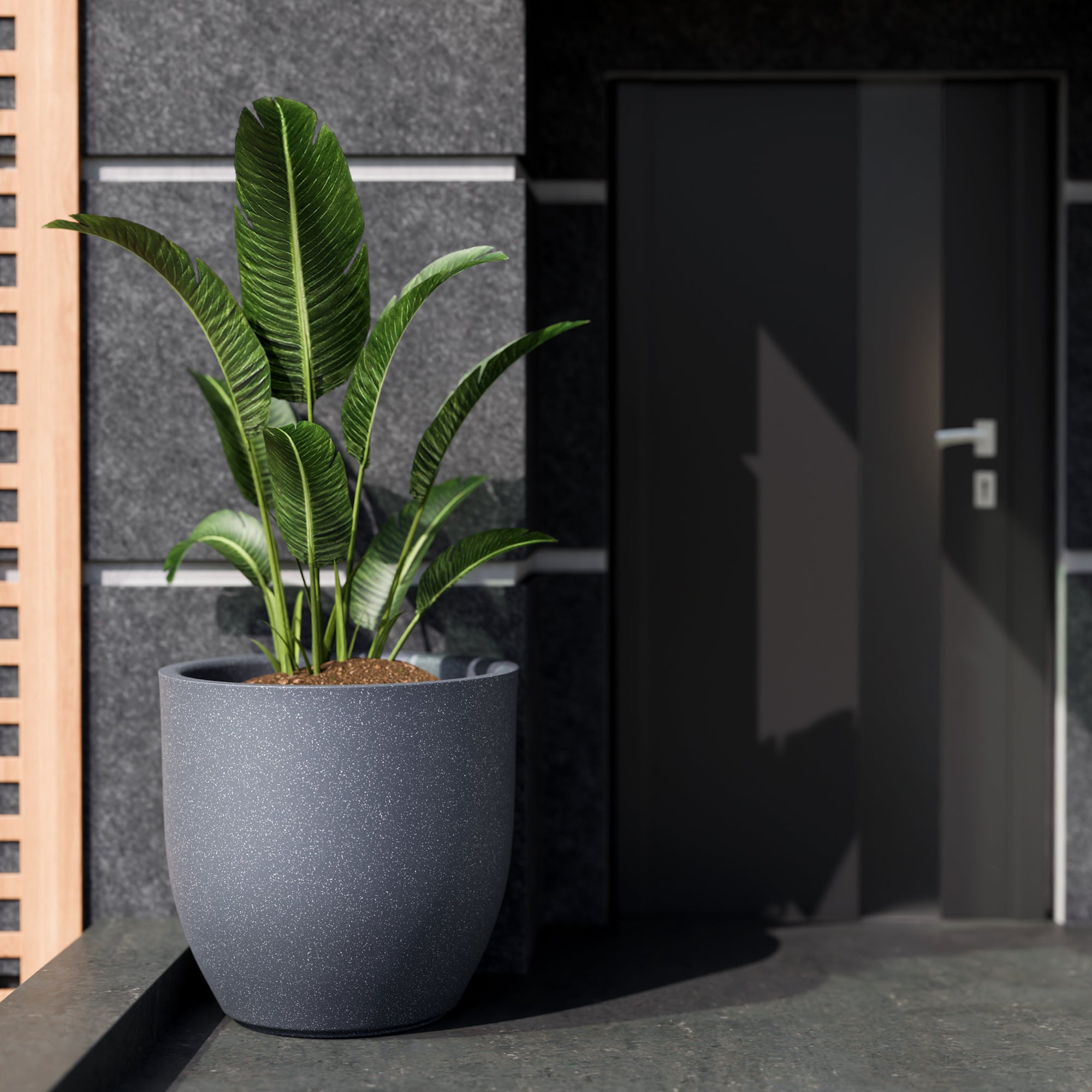 FOX B | P CUP PLANTER