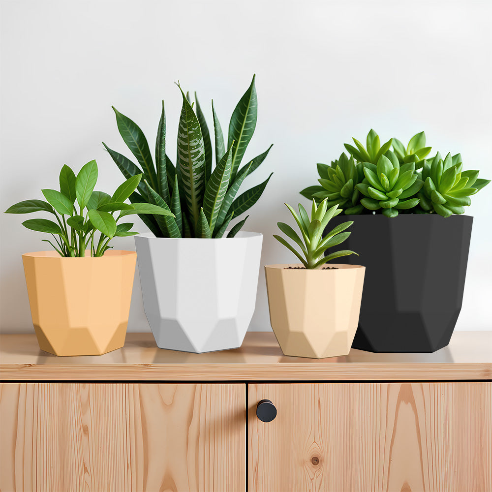 SHERA | HEXA PLANTER