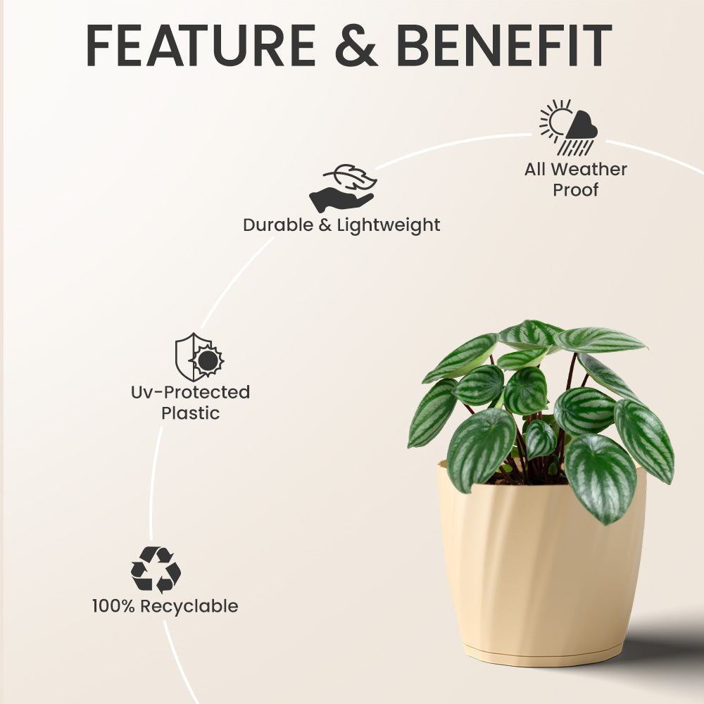 SHERA | ZINNIA PLANTER