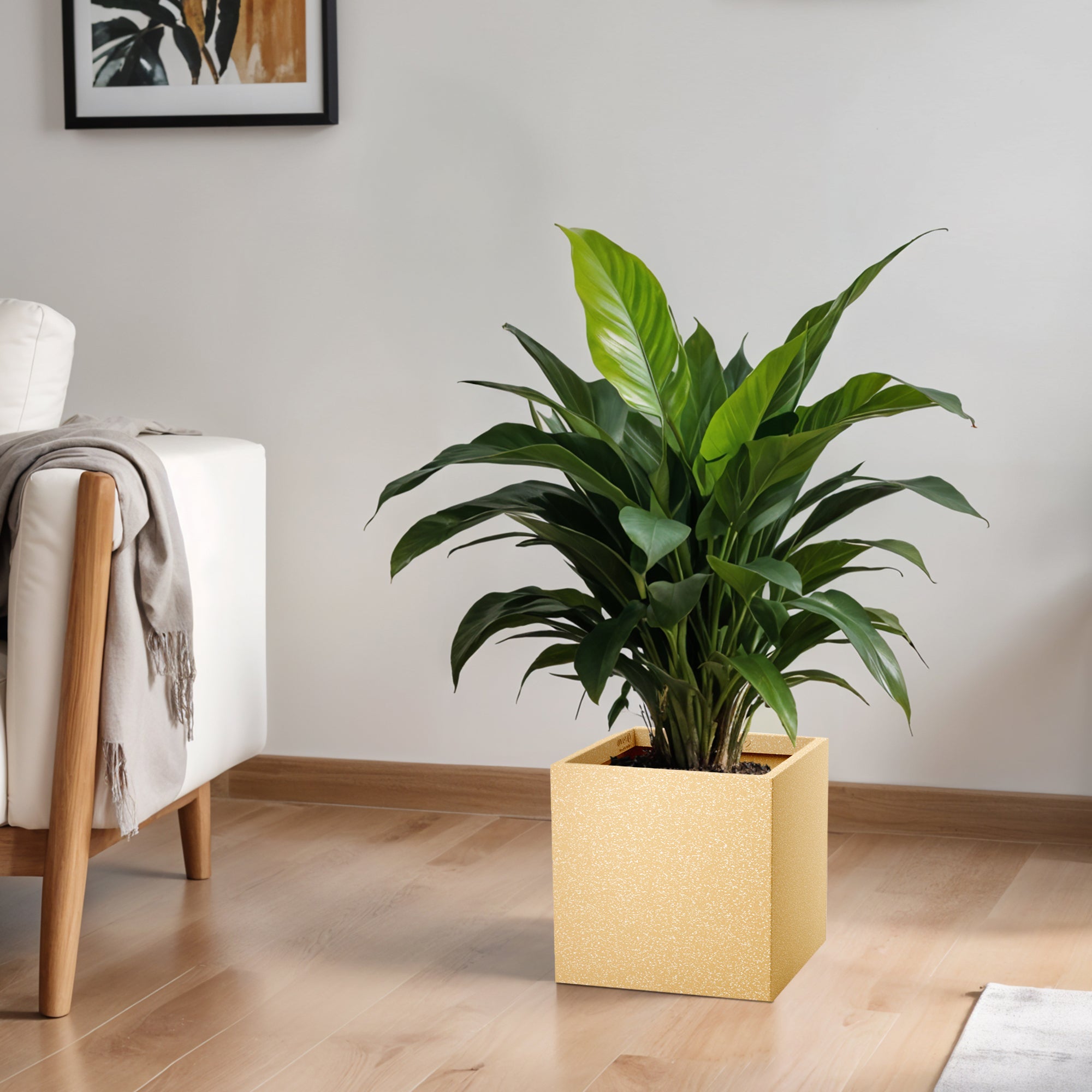 FOX B | CUBO PLANTER