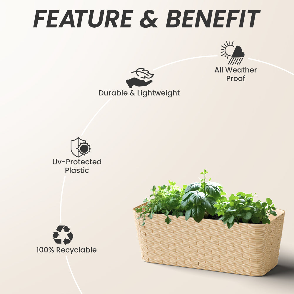 SHERA | RATTAN TRAY