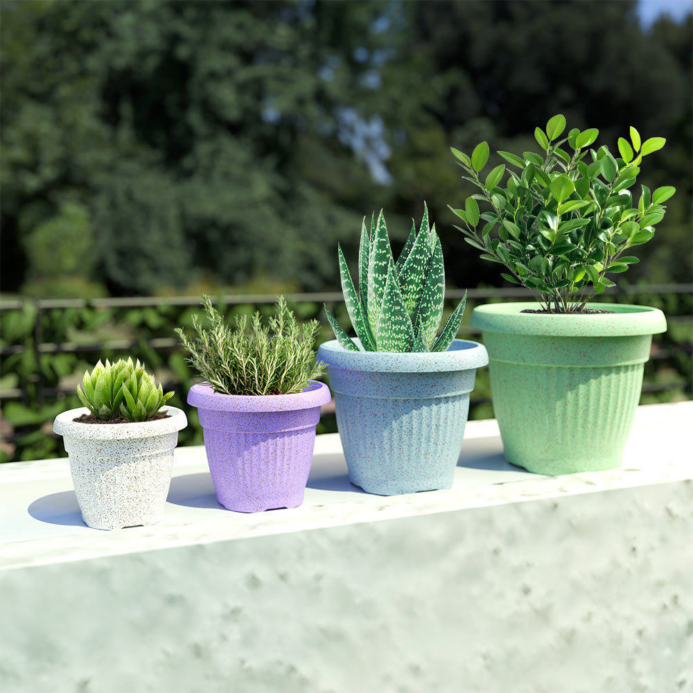 SHERA | BLOOM PLANTER