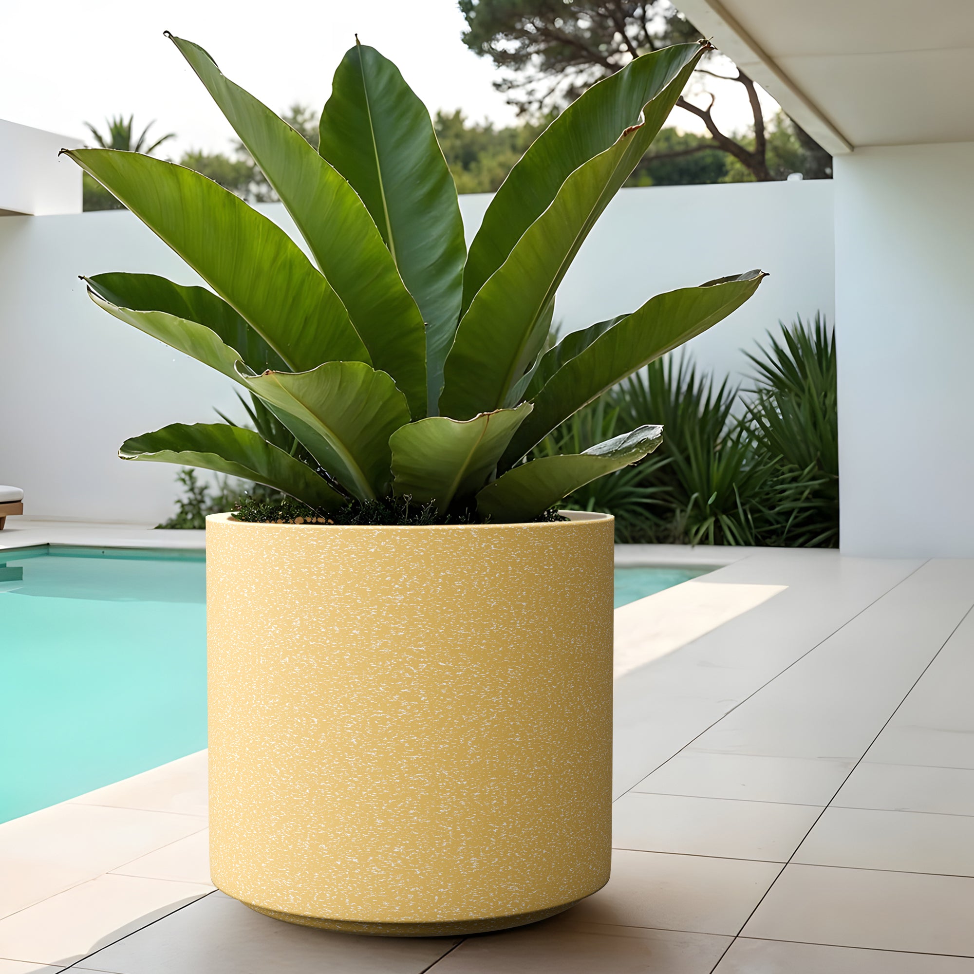 FOX B | CILIN PLANTER