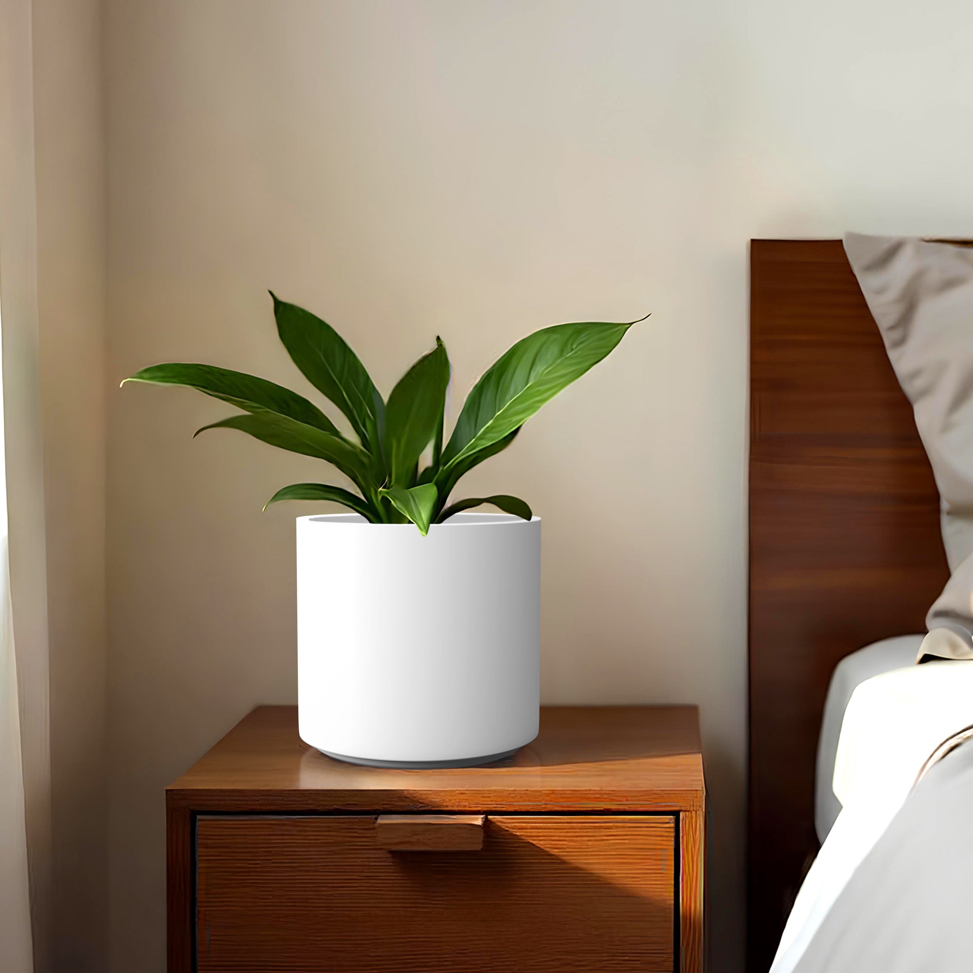 FOX B | CILIN PLANTER