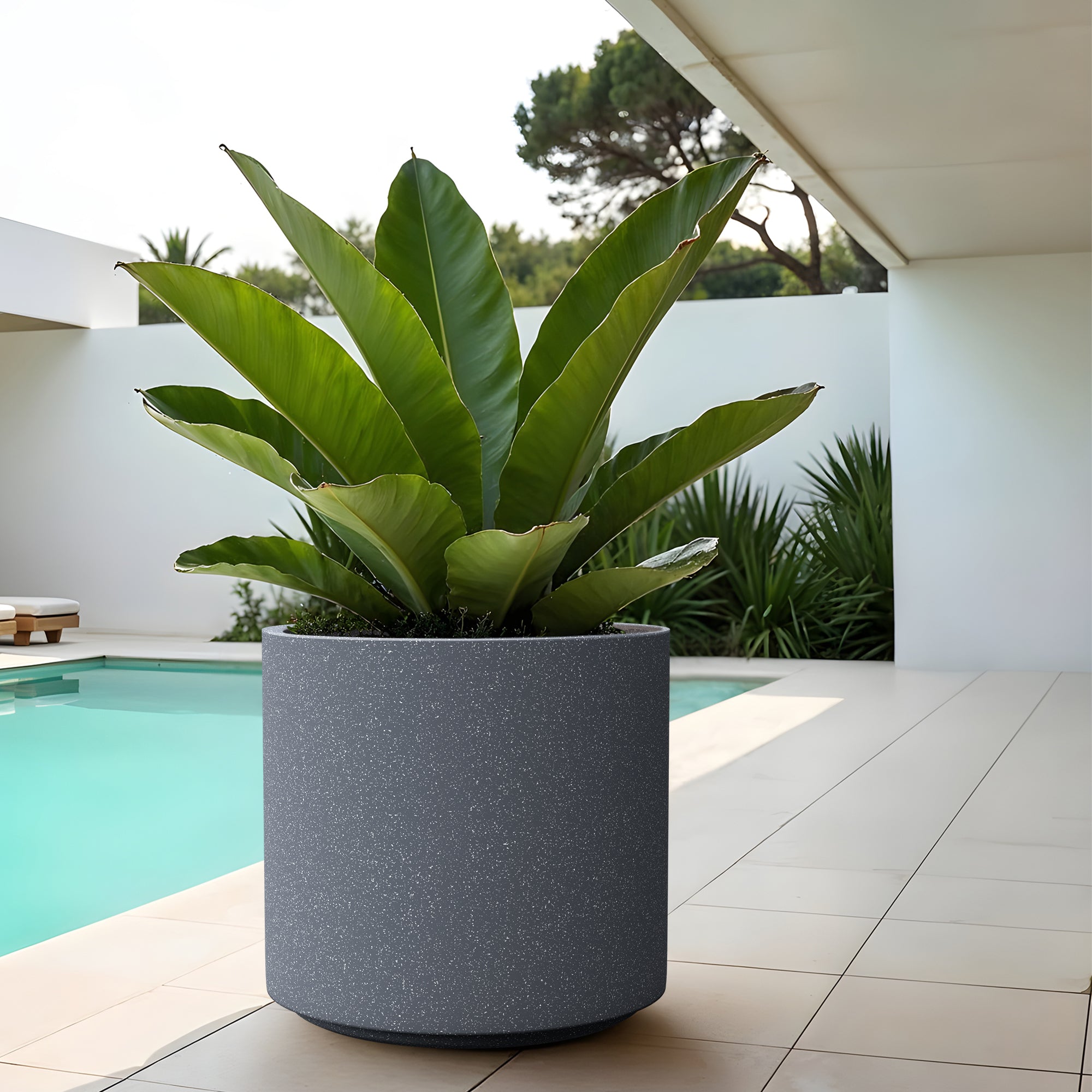 FOX B | CILIN PLANTER