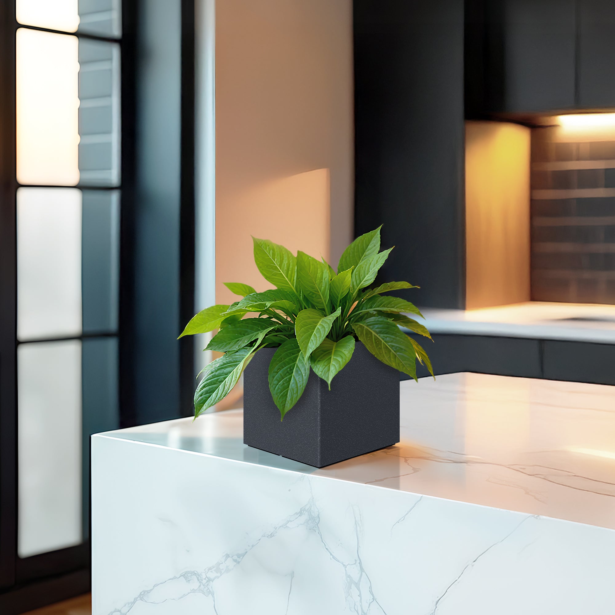 FOX B | CUBO PLANTER