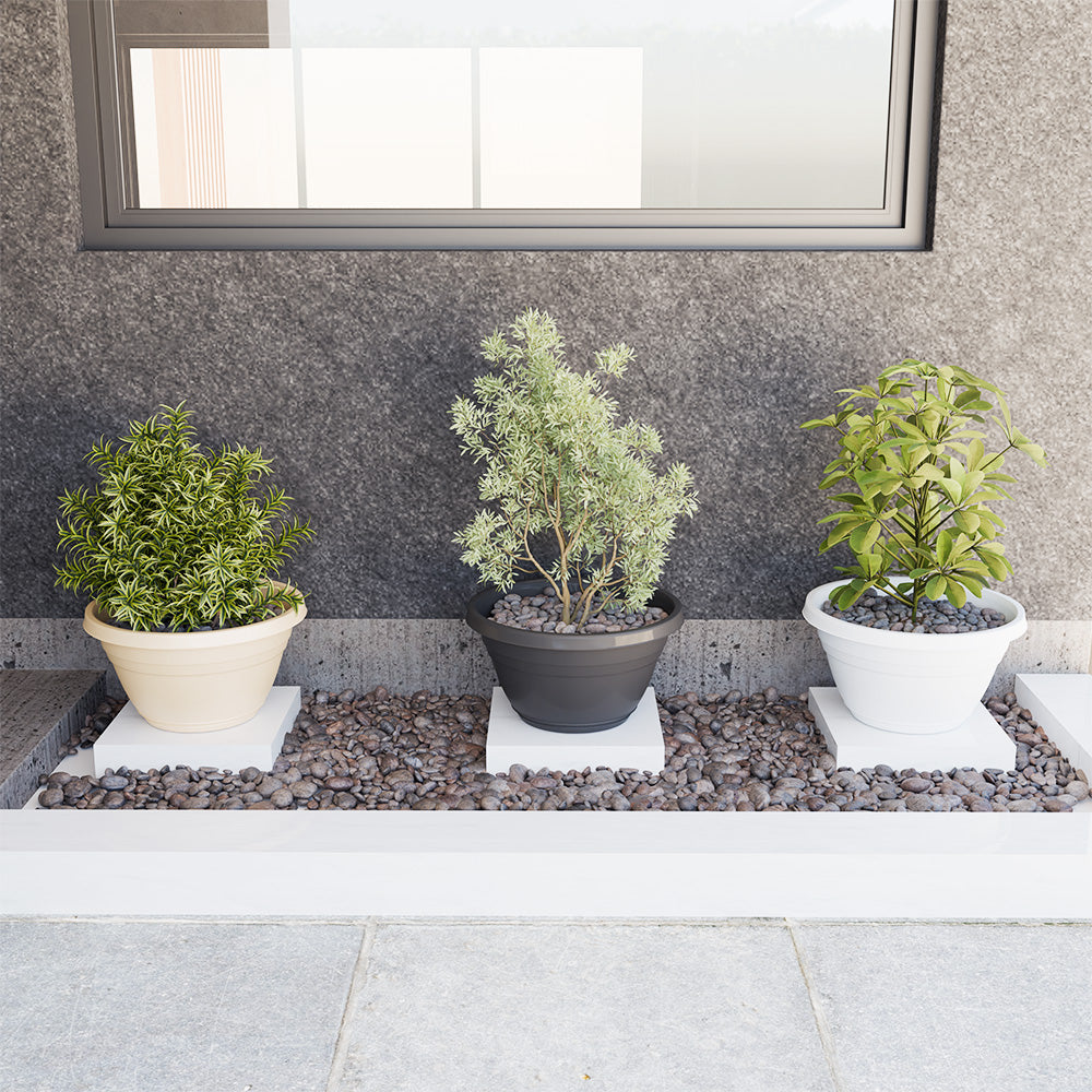 SHERA | BOTANICA BONSAI KTR PLANTER