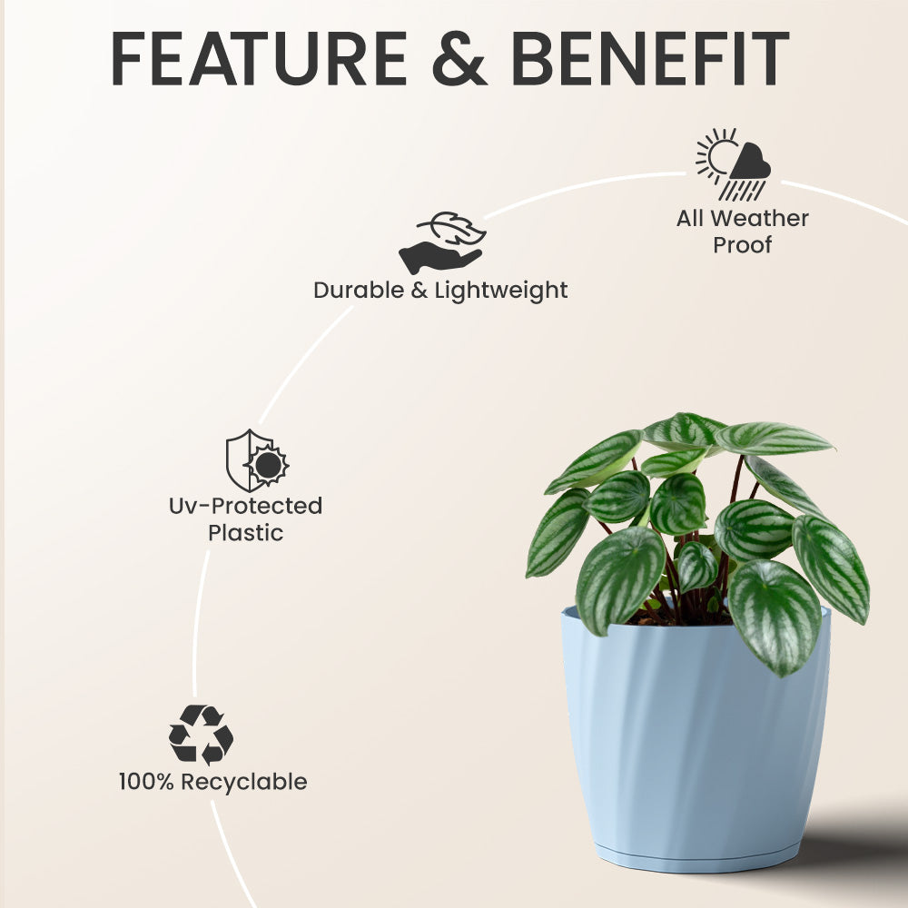 SHERA | ZINNIA PLANTER