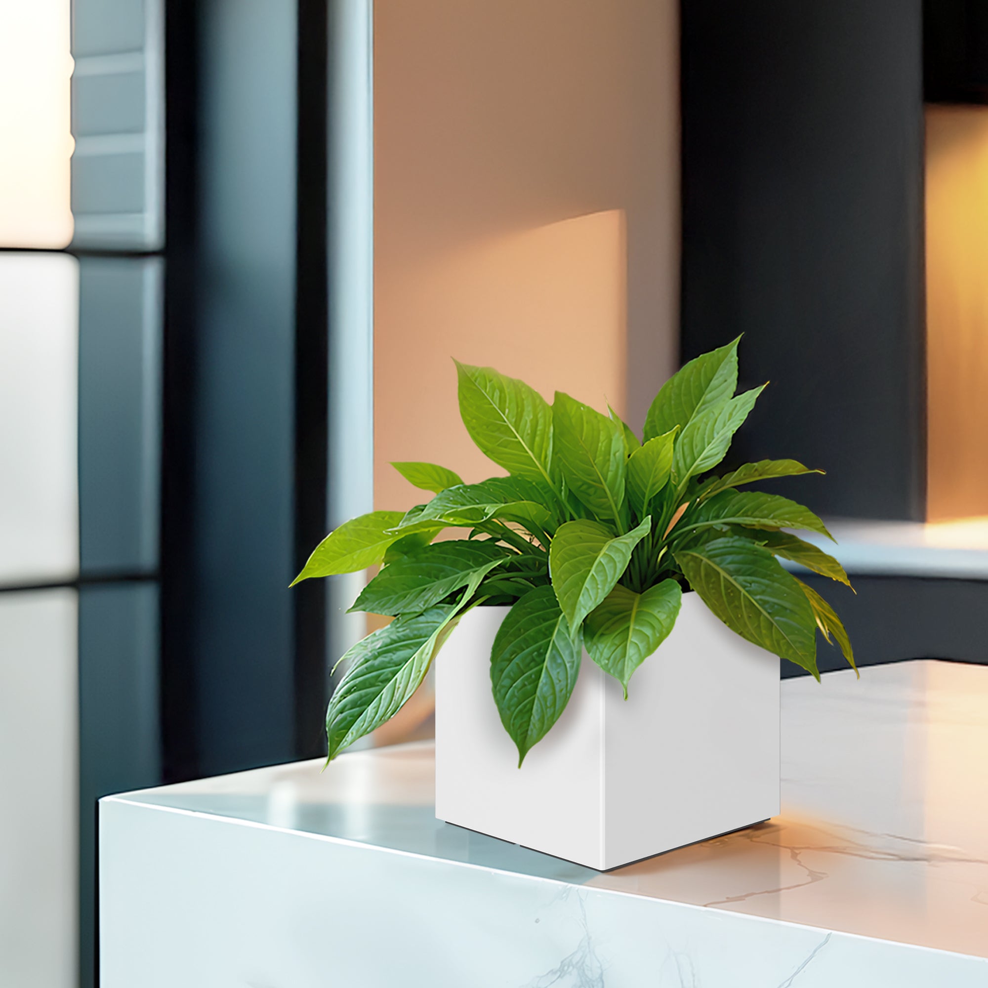 FOX B | CUBO PLANTER