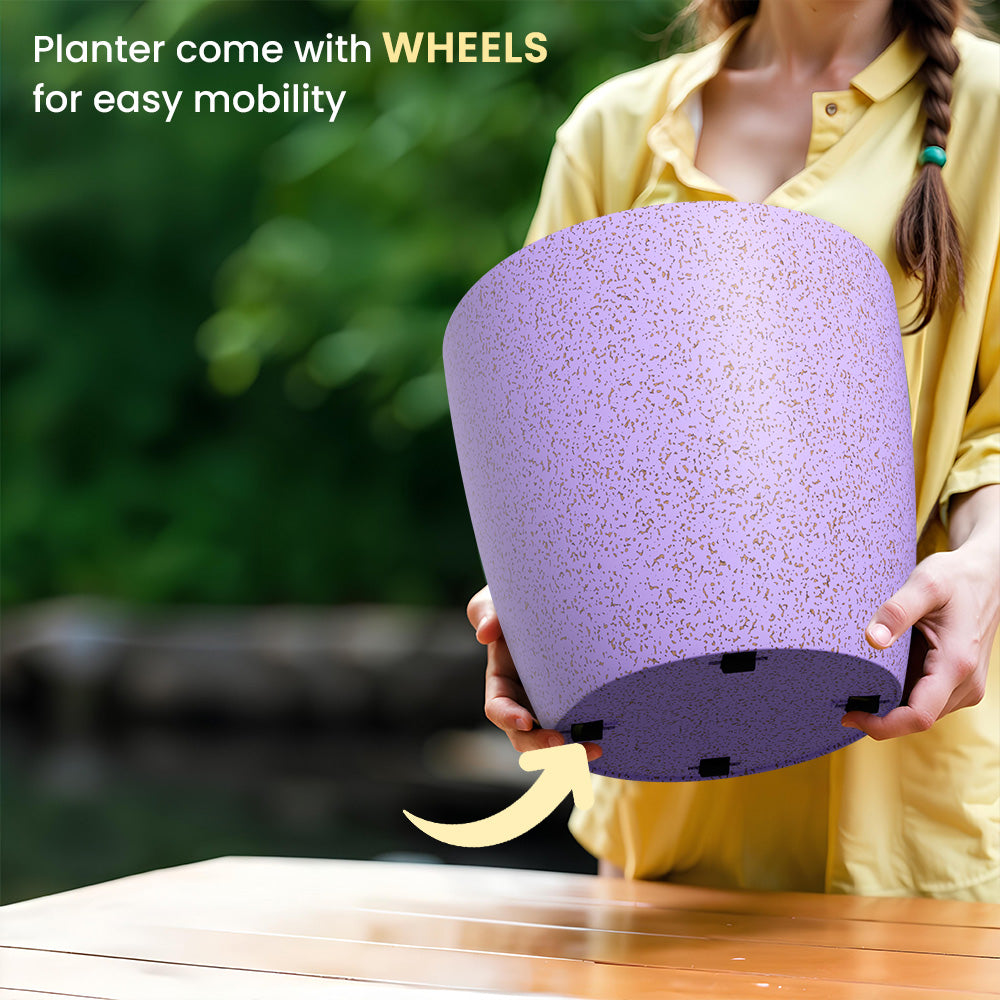 SHERA | STELLA BIO PLANTER