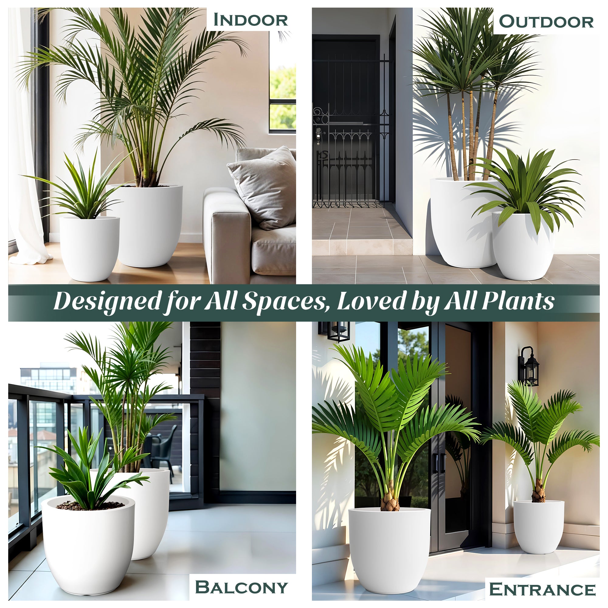 FOX B | P CUP PLANTER