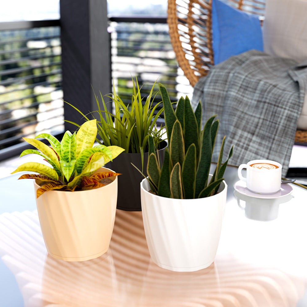 SHERA | ZINNIA PLANTER