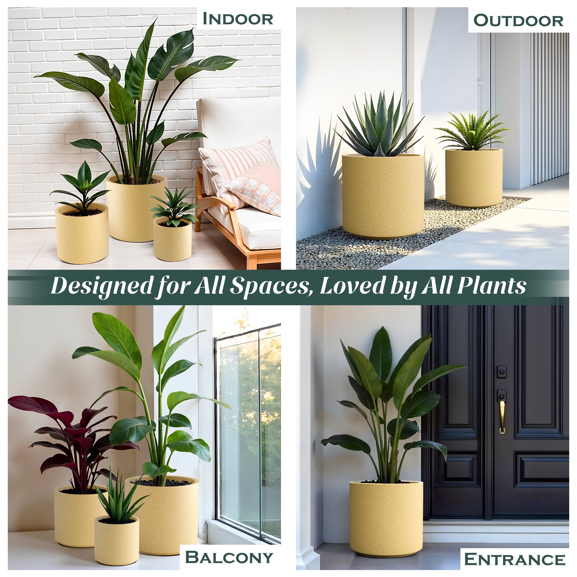 FOX B | CILIN PLANTER