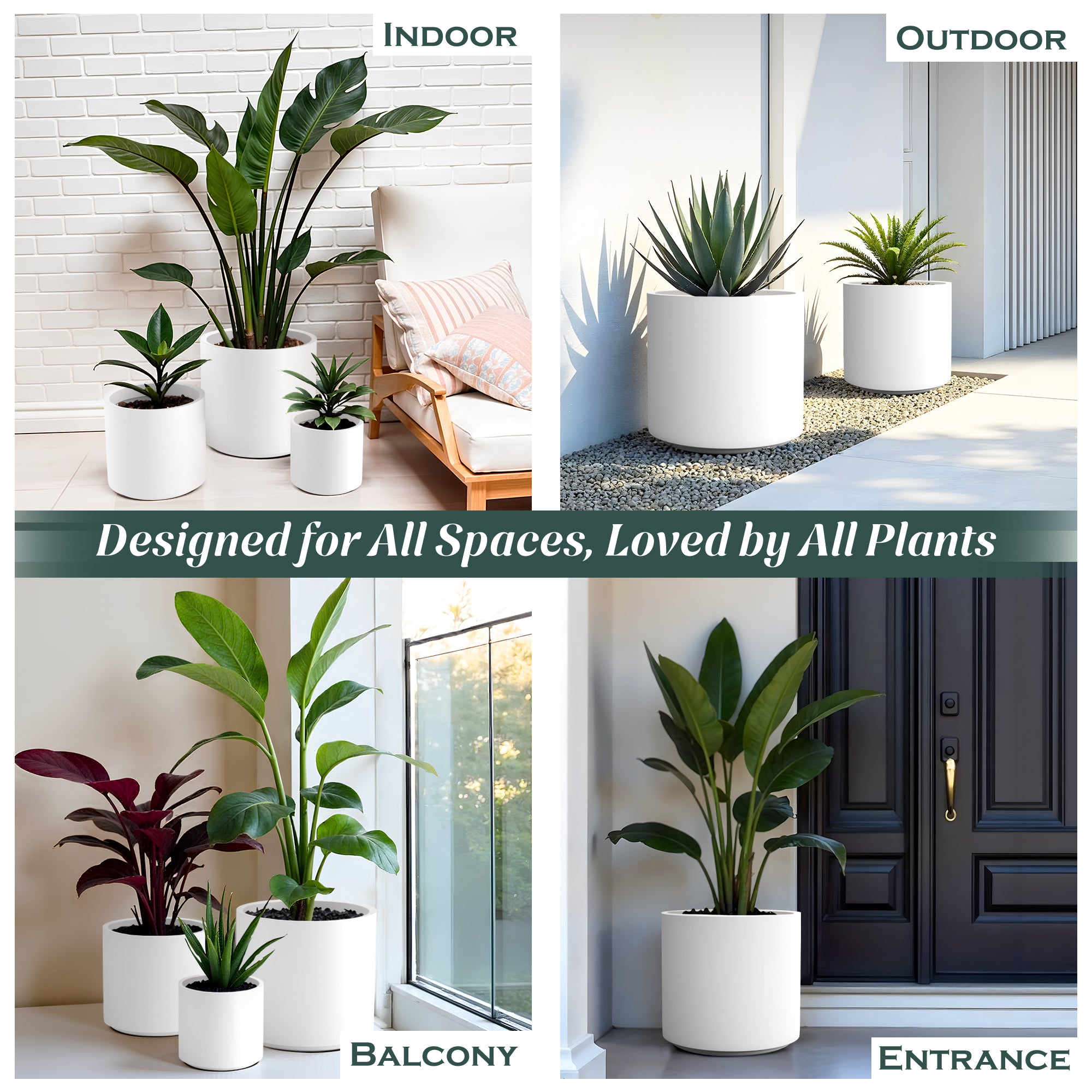 FOX B | CILIN PLANTER