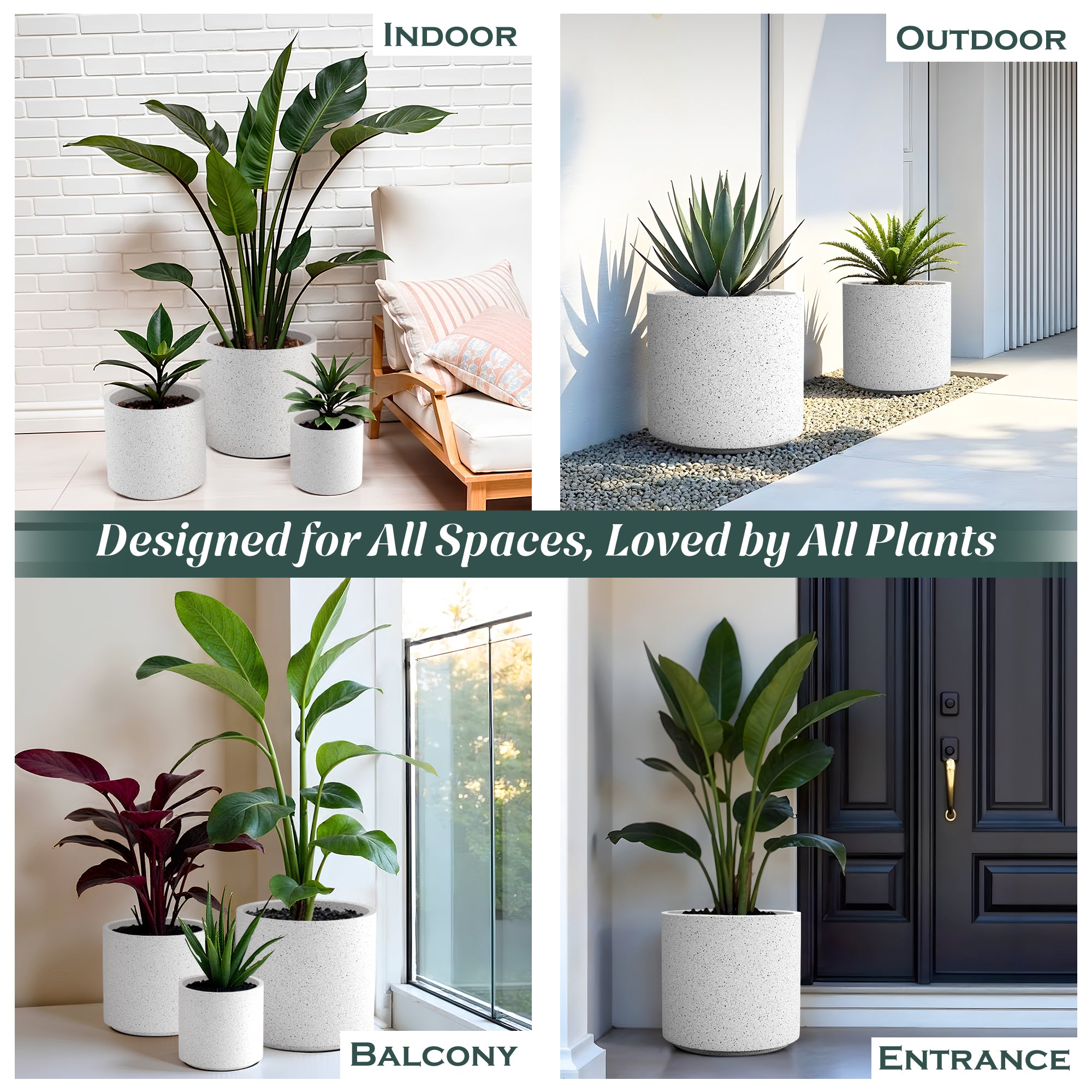 FOX B | CILIN PLANTER