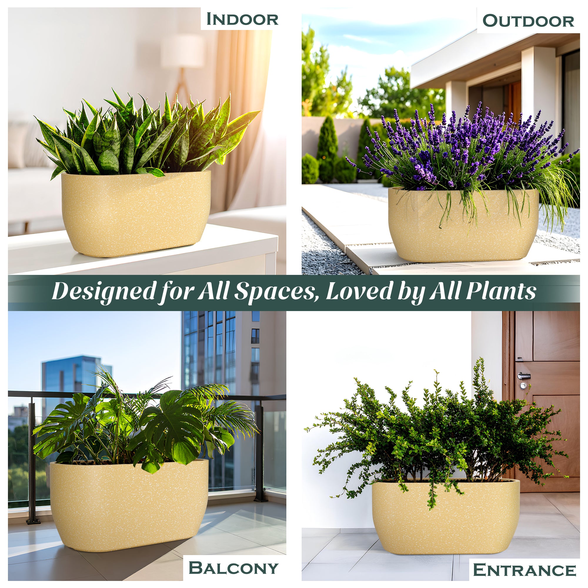 FOX B | PCTR PLANTER