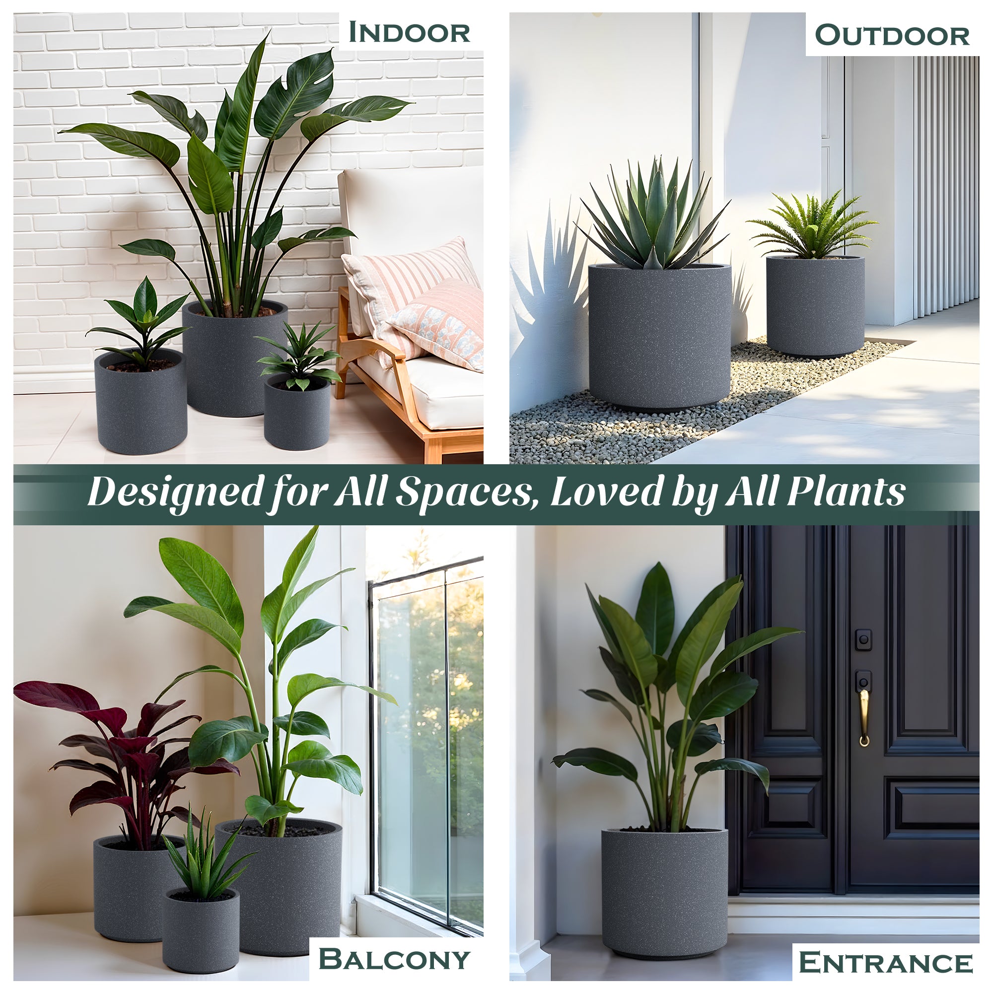 FOX B | CILIN PLANTER