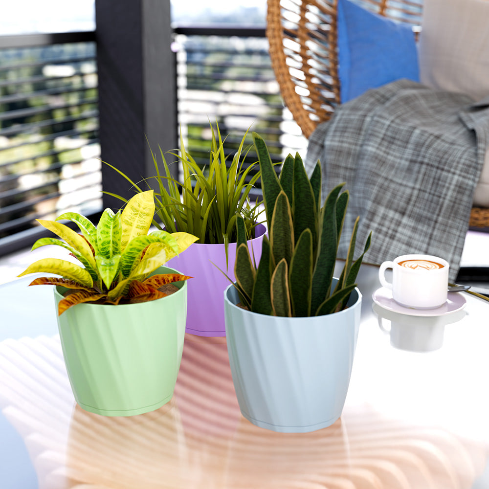 SHERA | ZINNIA PLANTER