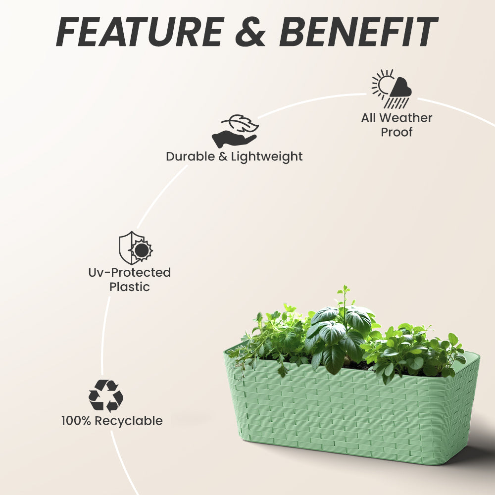 SHERA | RATTAN TRAY