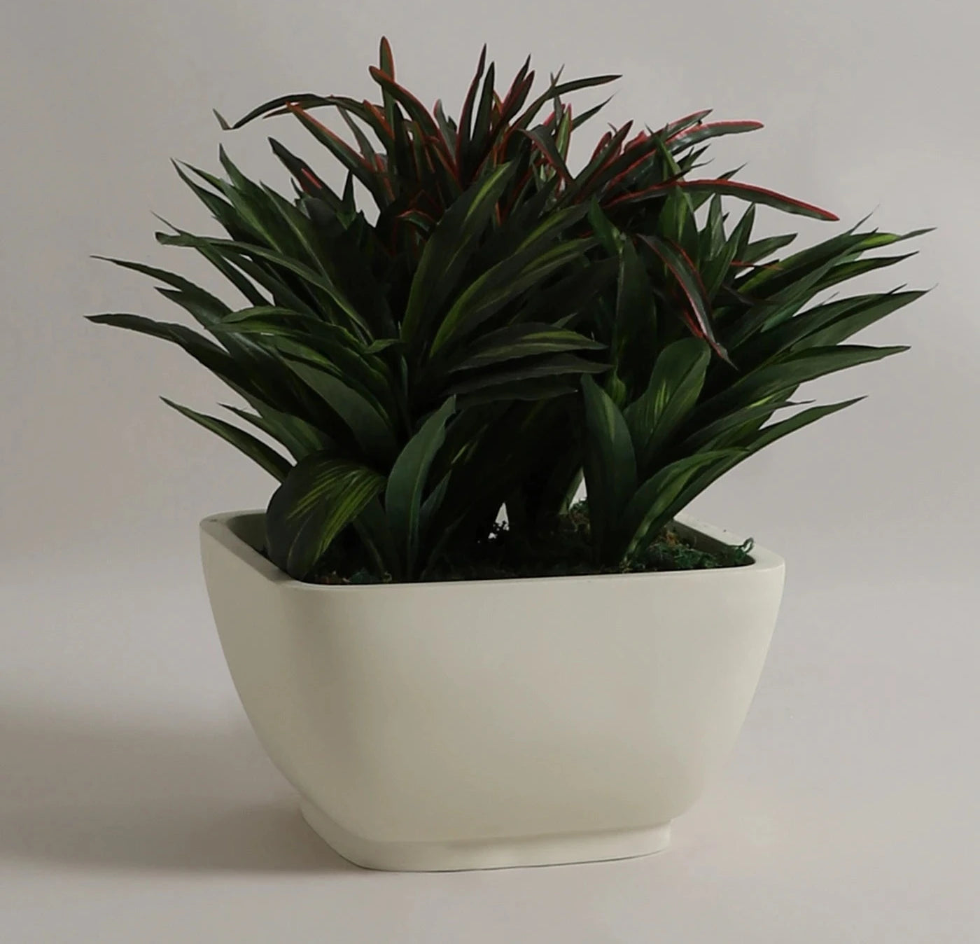 YUCCABE | ASA KTR PLANTER