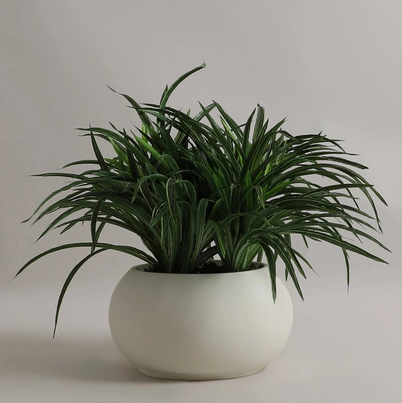 VOZARA | AP KTR PLANTER