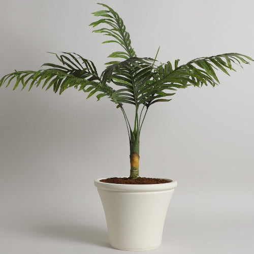 VOZARA | BRT PLANTER