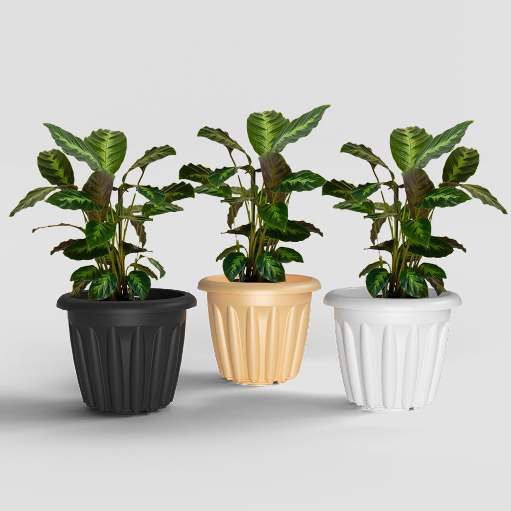 SHERA | FLOOT PLANTER
