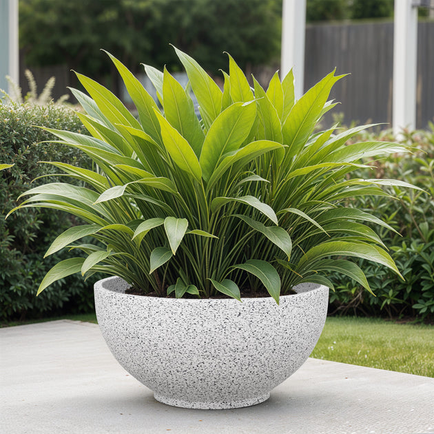 Round Tagged "pots" YuccabeItalia