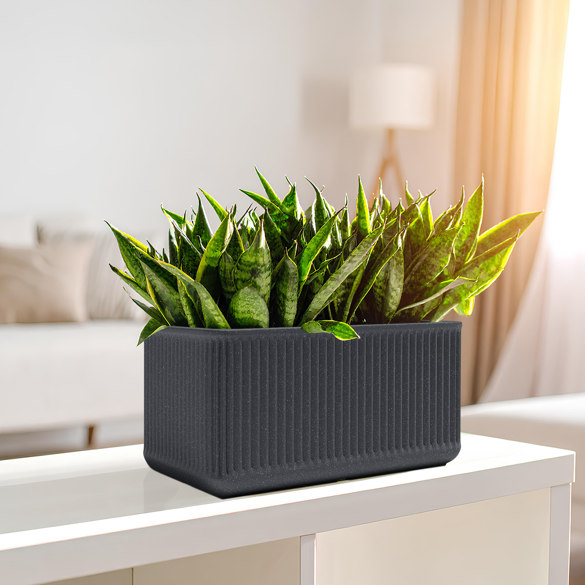 How to Secure Plants in a FOX-B Planter